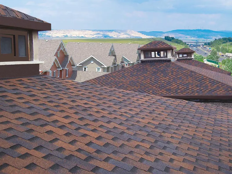 شینگل طرح دراگون